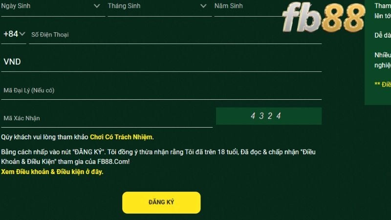 Kiểm tra và đảm bảo tài khoản đăng ký thành công